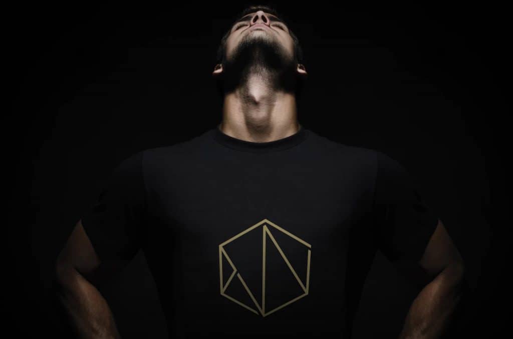 empire webbyrå logo guld