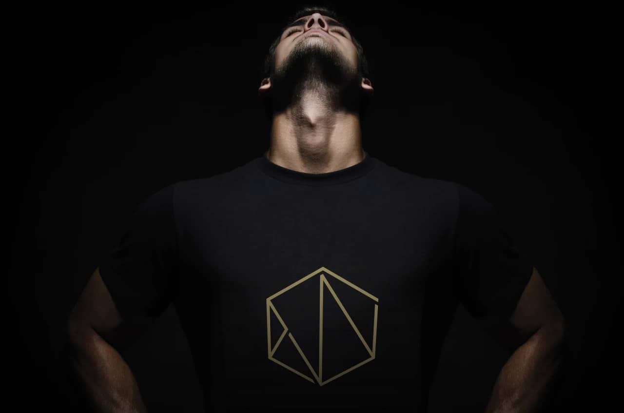 empire webbyrå logo guld
