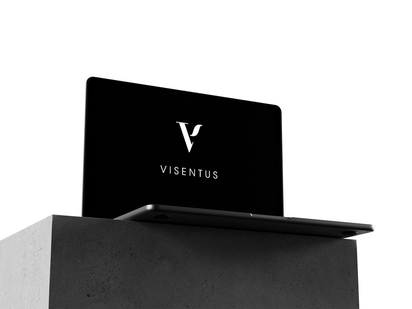 Visentus Göteborg hemsida